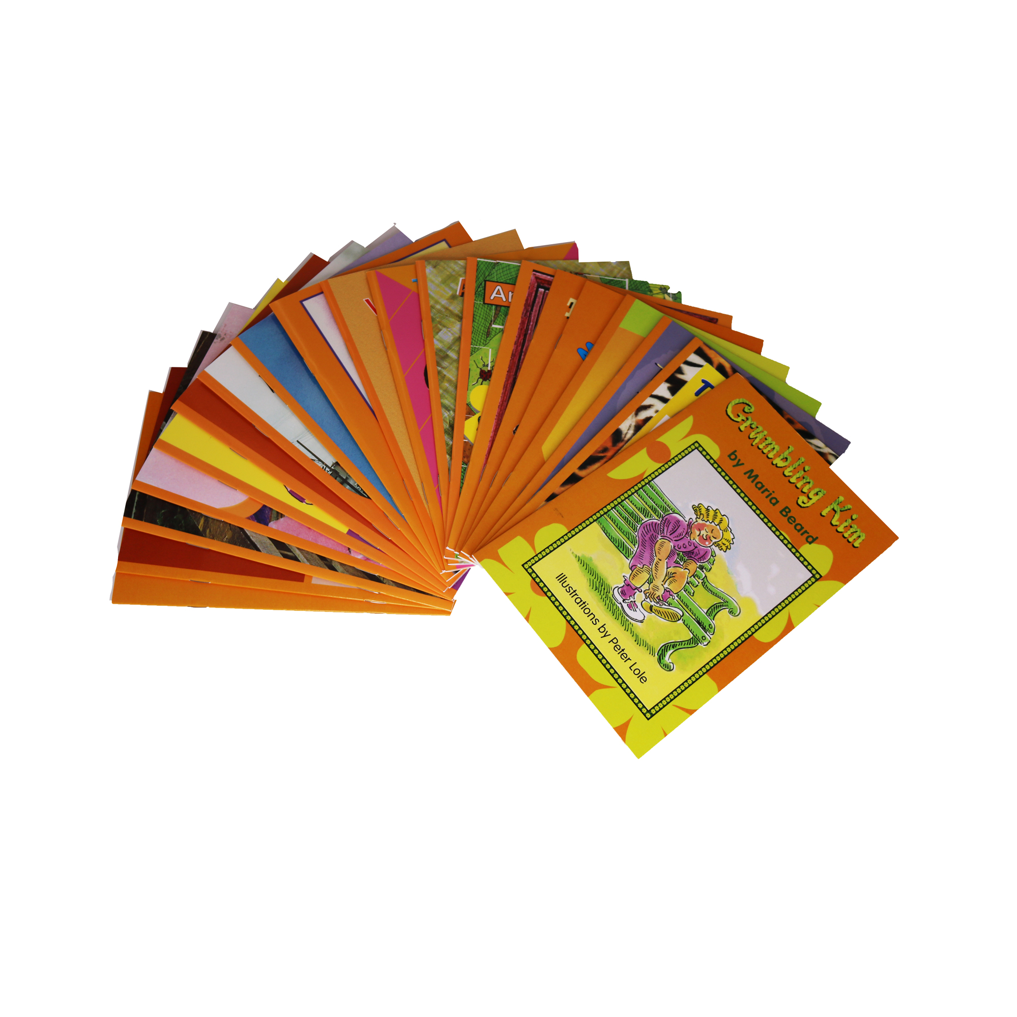 Orange Series: 7-8 Year Old Reading Level - Image 3